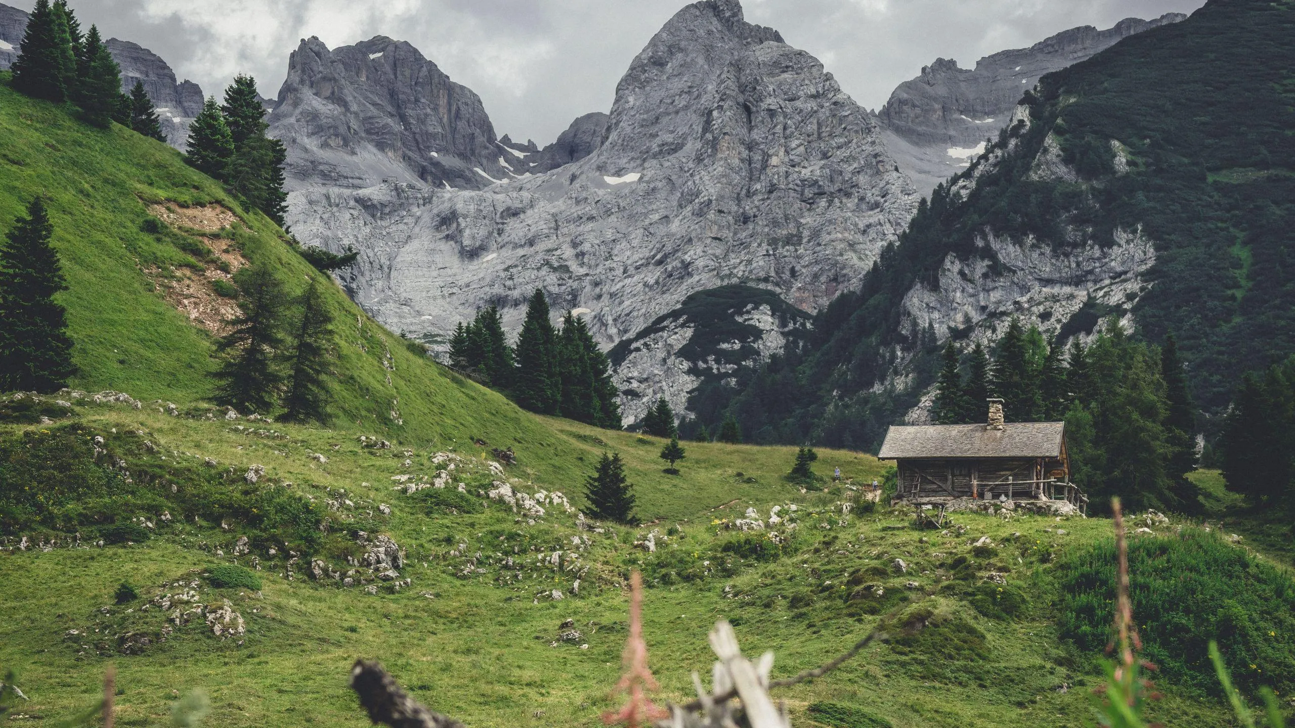 Foto parco naturale Hero home page